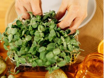 Grow microgreens: Fresh food may be in short supply with continued supply chain problems